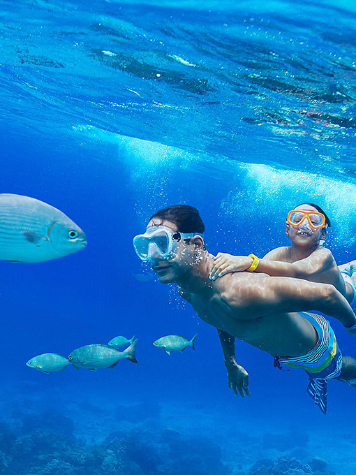 Royal Caribbean International